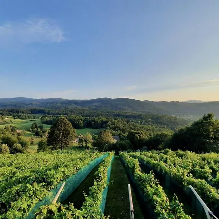 Vineyard Kulovec דירה