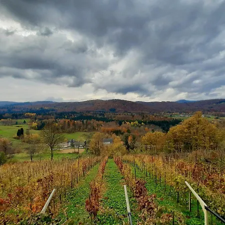 Vineyard Kulovec * Ursna Sela