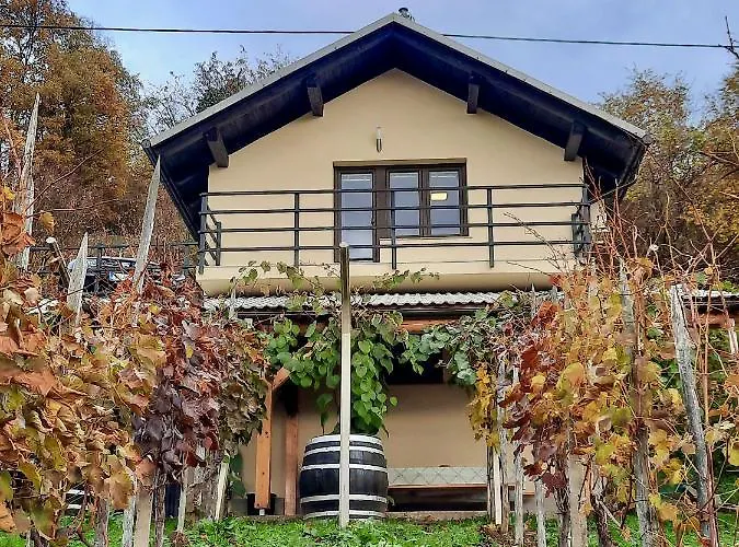 Vineyard Kulovec * Ursna Sela