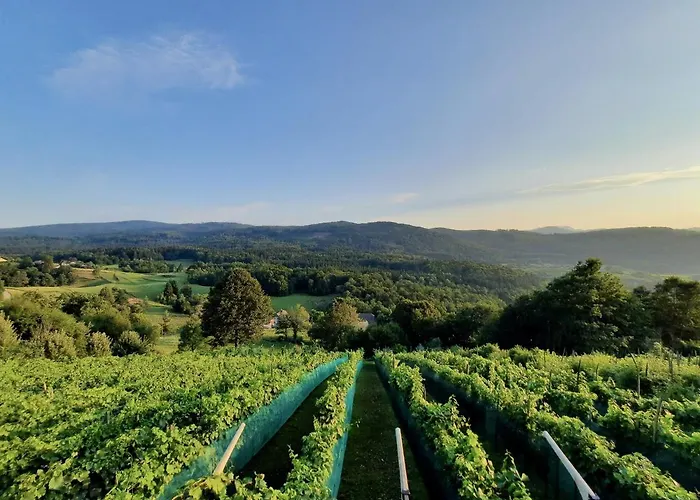 Vineyard Kulovec Appartement