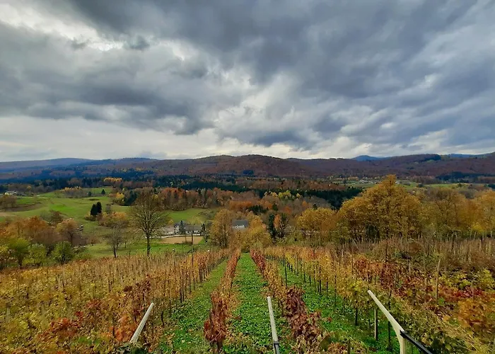 Vineyard Kulovec * Ursna Sela